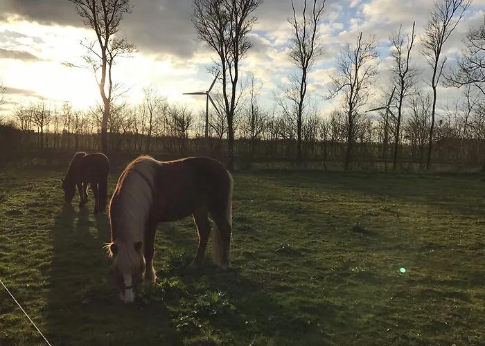 Bremsmaj Farm Holiday